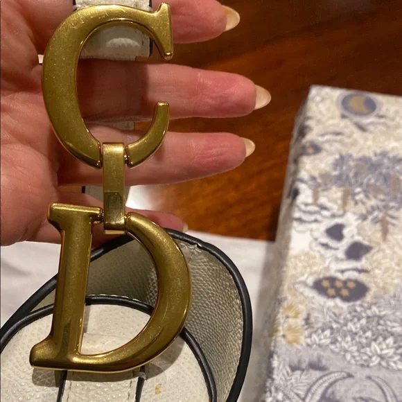 Dior White Saddle Shoulder Bag with Gold Hardware - Picture 5 of 9